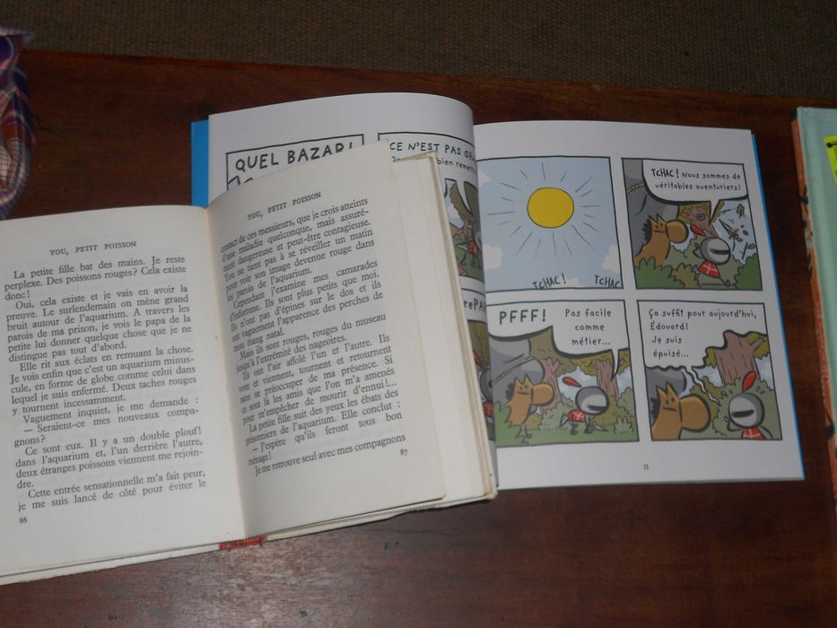 Livros infantis juvenis em lingua francesa BD e outros