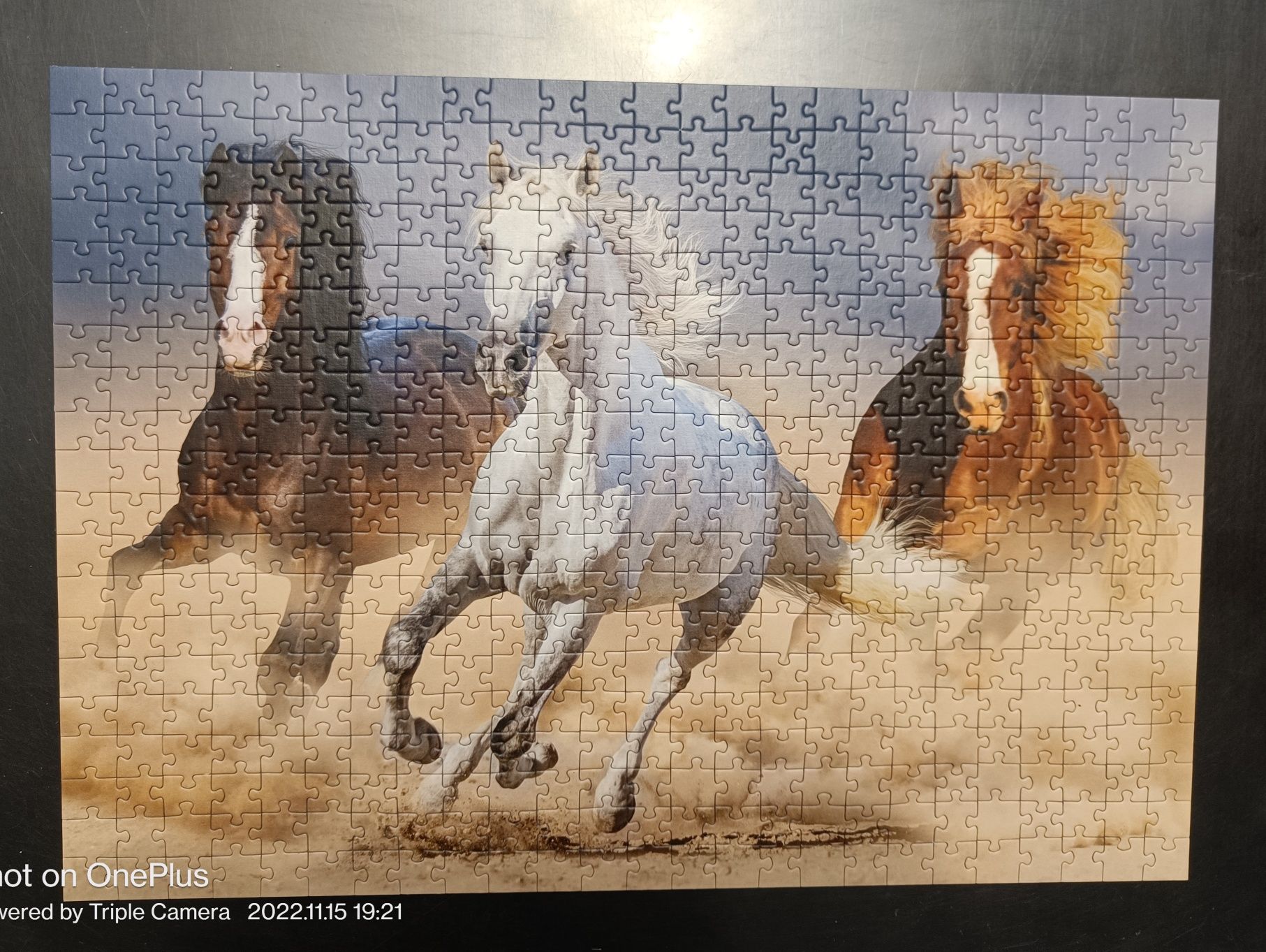 Puzzle 500  konie