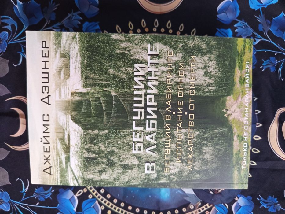 Бегущий в лабиринте