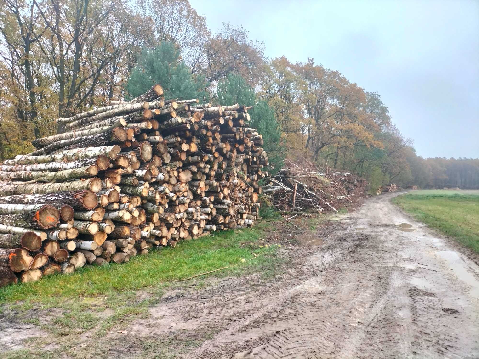 Wycinka drzew czyszczenie działek usługi koparka koszenie łak