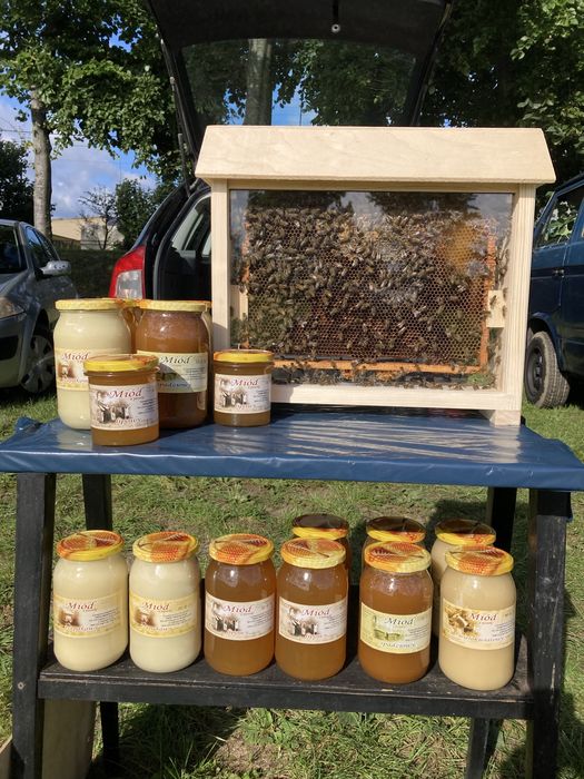 Pyłek pszczeli 600 gram, z własnej pasieki, sezon 2025