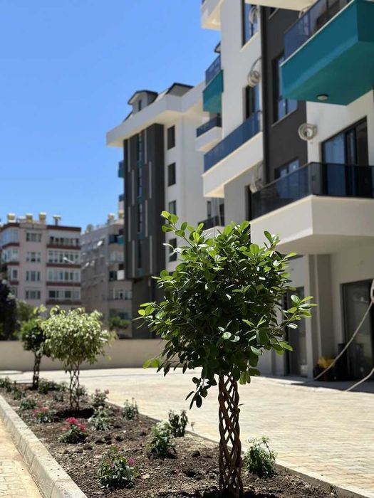 Квартира в современном комплексе в центре Алании пляж Клеопатра Турция