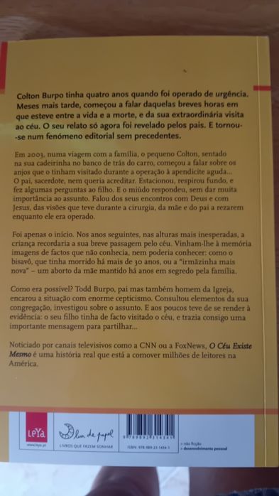 Livro "O céu existe mesmo"
