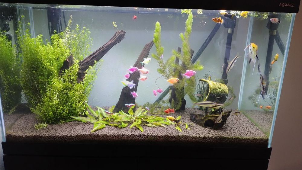 Zestaw akwarium Aquael optiset 125