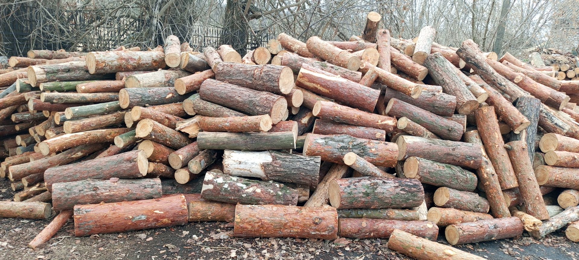 Дрова соснові кругляком і колоті