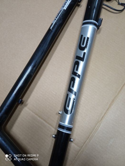 Rama Epple Trail Cat 28