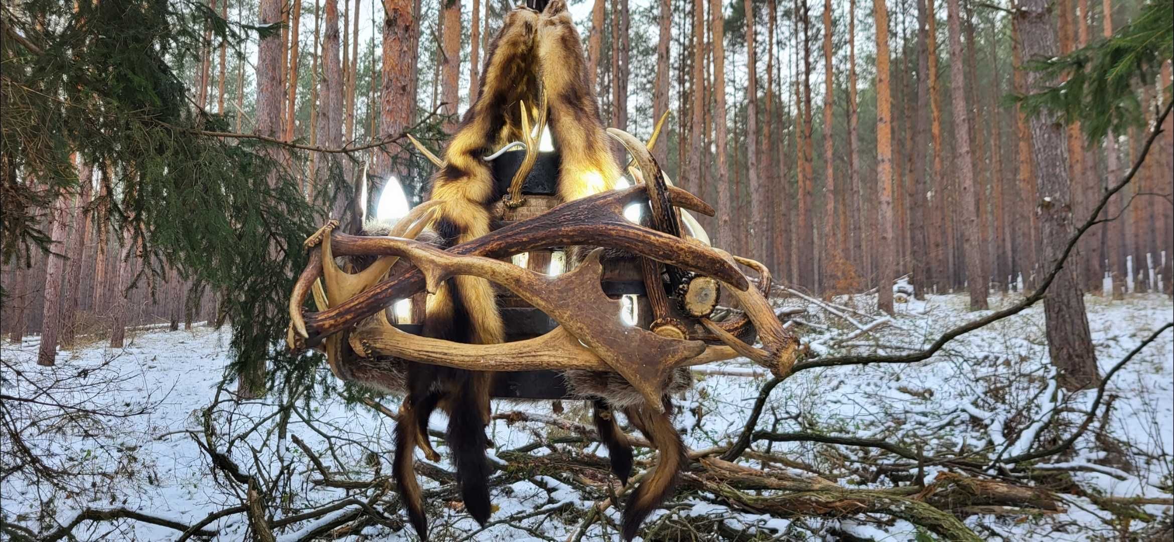 Piękny duży żyrandol z poraża jelenia  na piastach kół od karety
