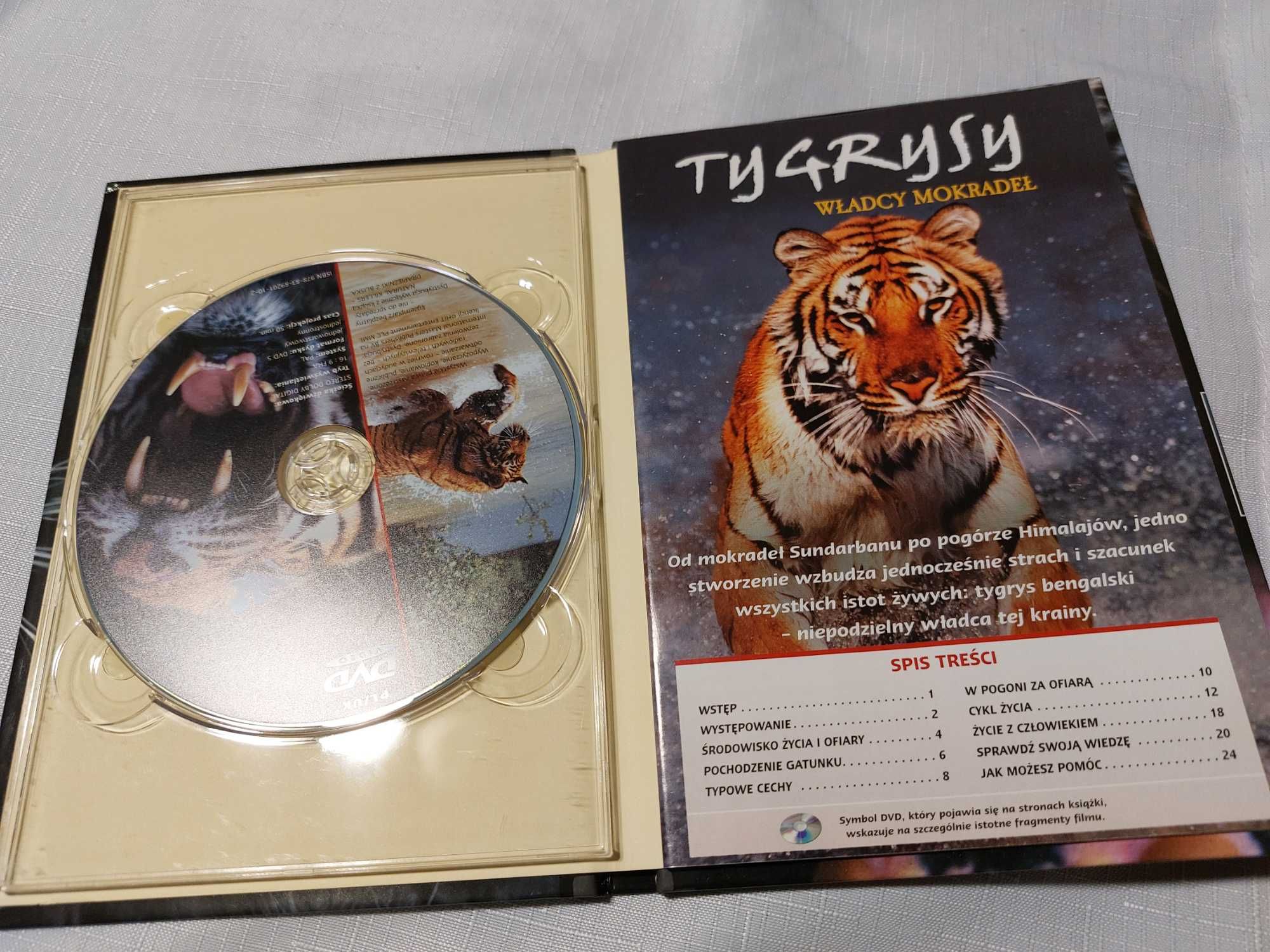Płyta  o tygrysach