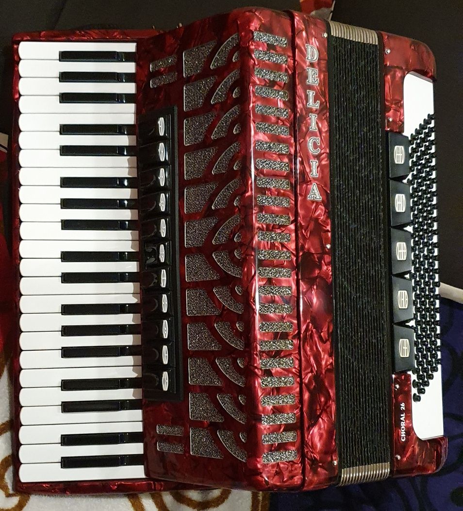 Akordeon Delicia Choral 26 Cassotto 2/2