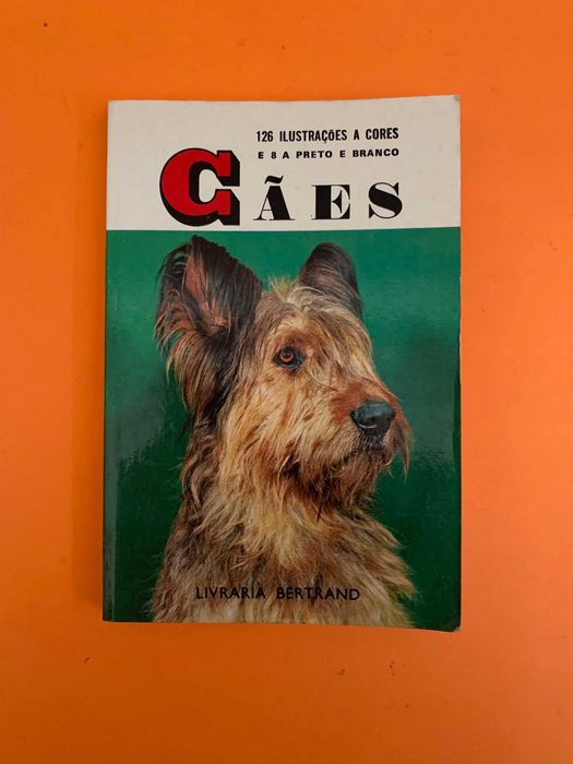Cães - Lucien Guillot
