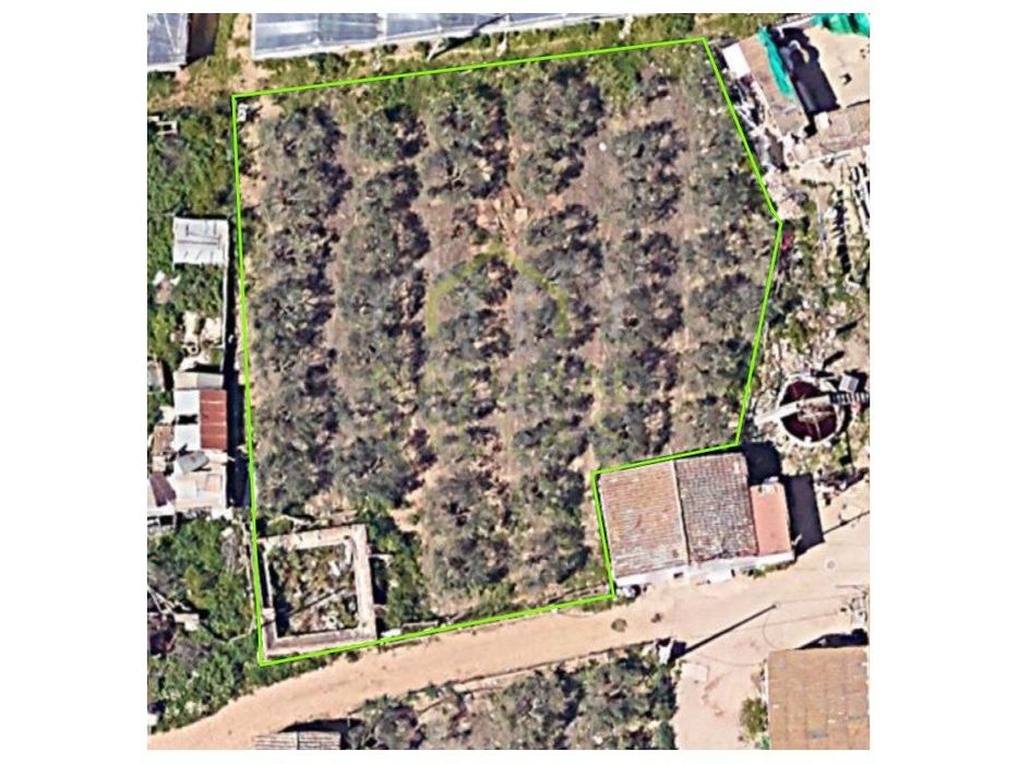 Terreno Rústico para o Arrendamento em Conceição, Faro
