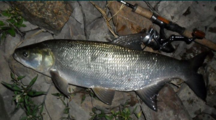 Mikro, micro jigi   zestaw 10 szt