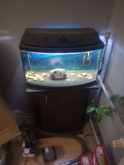 Akwarium 60l z szafką