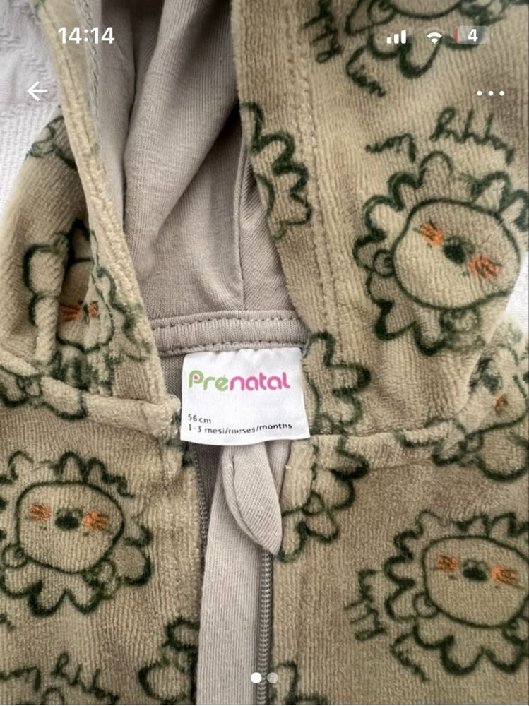 Conjunto pré natal