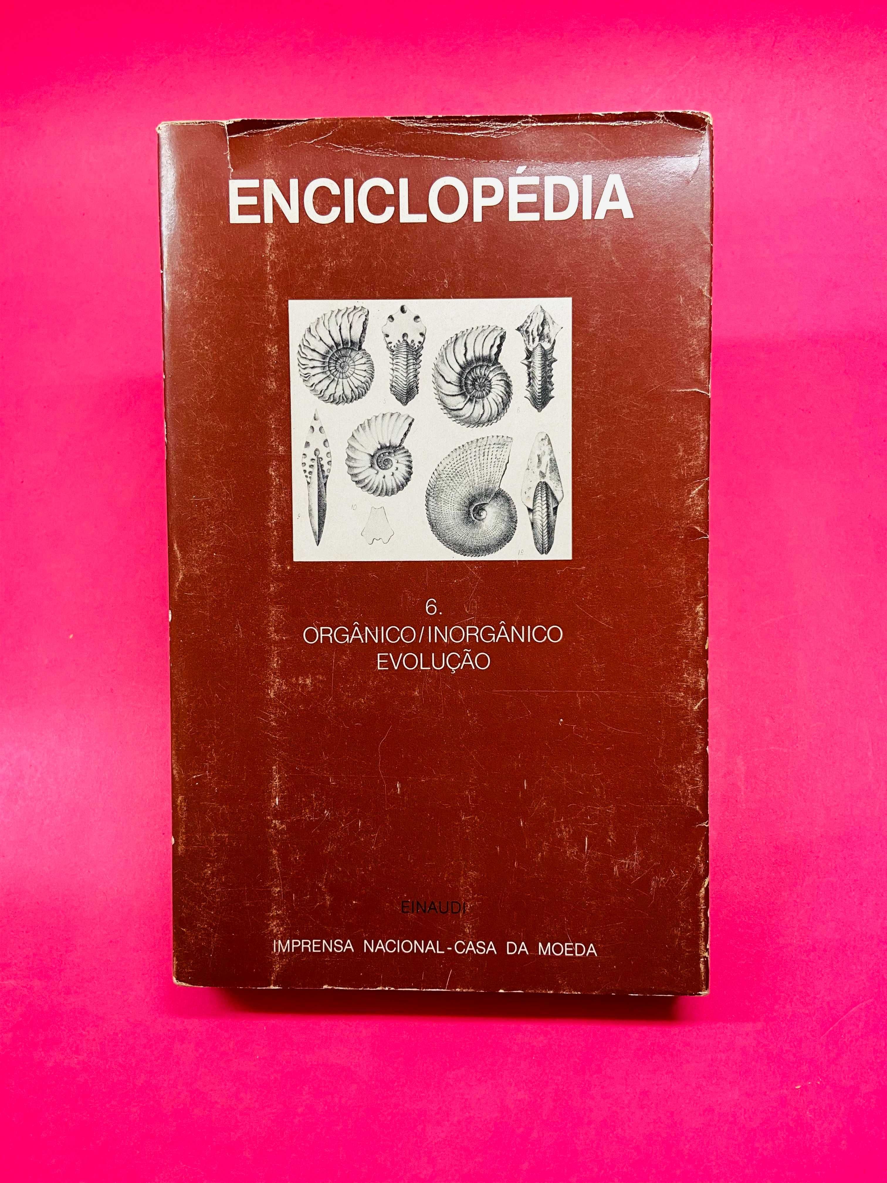 Enciclopédia Vol. VI, Organização Evolução