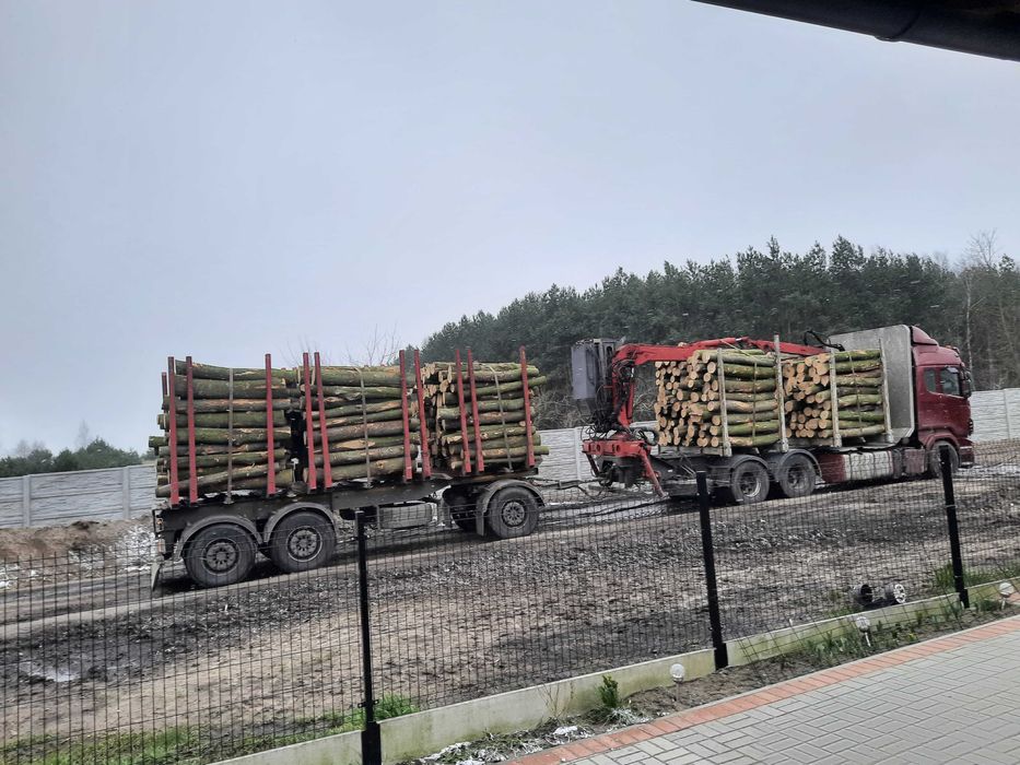 Drewno Kominkowe Opałowe Sosna Dąb jesion akacja brzoza olcha buk grab