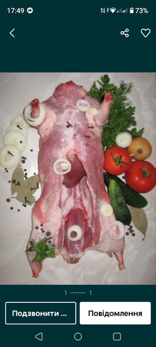 Продам м'ясо нутрії