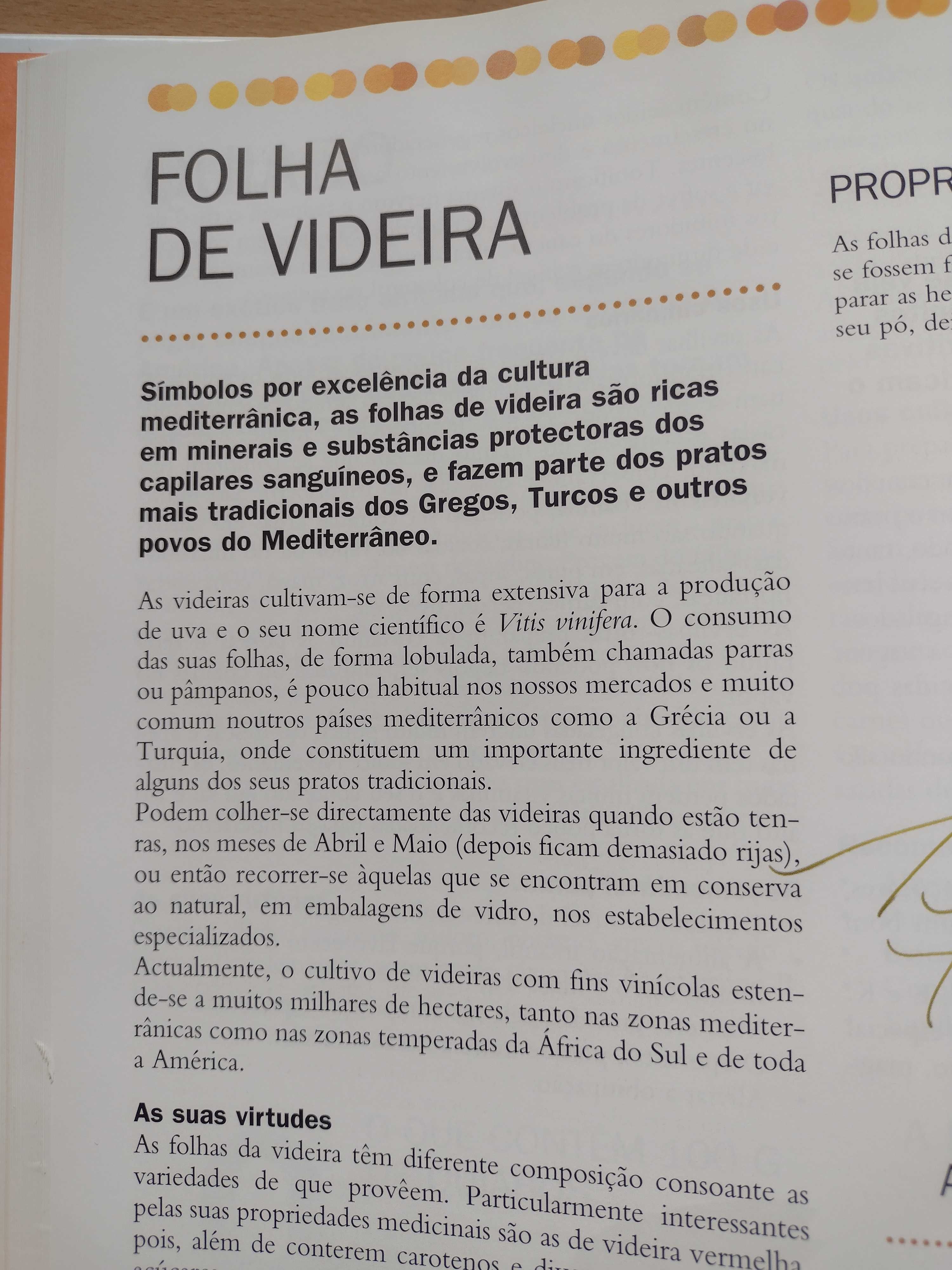 Livros Viver Melhor "O Grande Livro dos Alimentos"