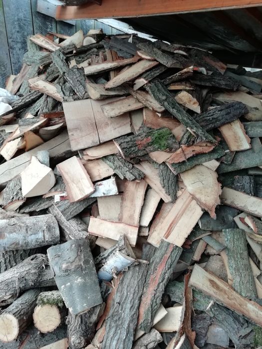 Drewno dębowe suche