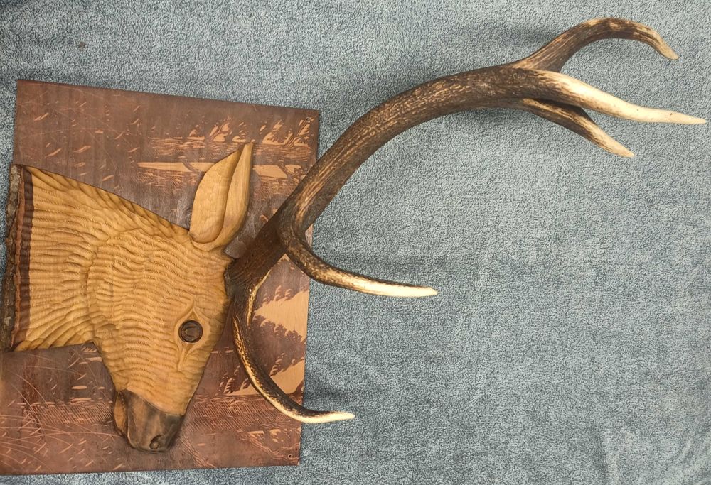 Poroże jelenia na drewnianej rzeźbie