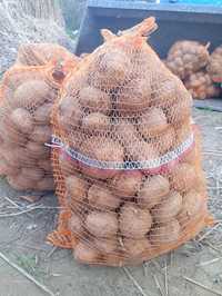 Ziemniaki jadalne odmiany denar 
Podana cena jest ceną za worek 15 kg