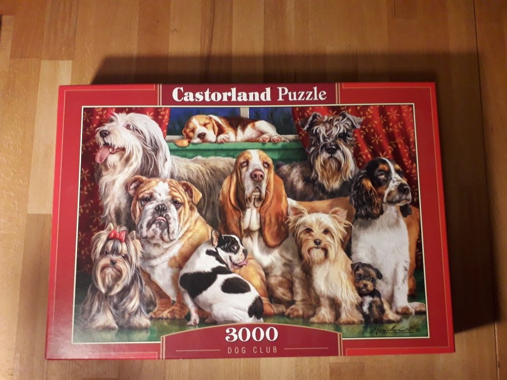 Psy puzzle 3000 elementów 92x68cm Castorland