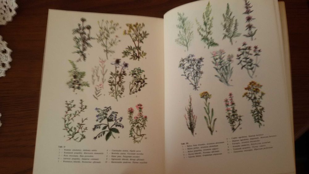 Ziółka i My, Irena Gumowska