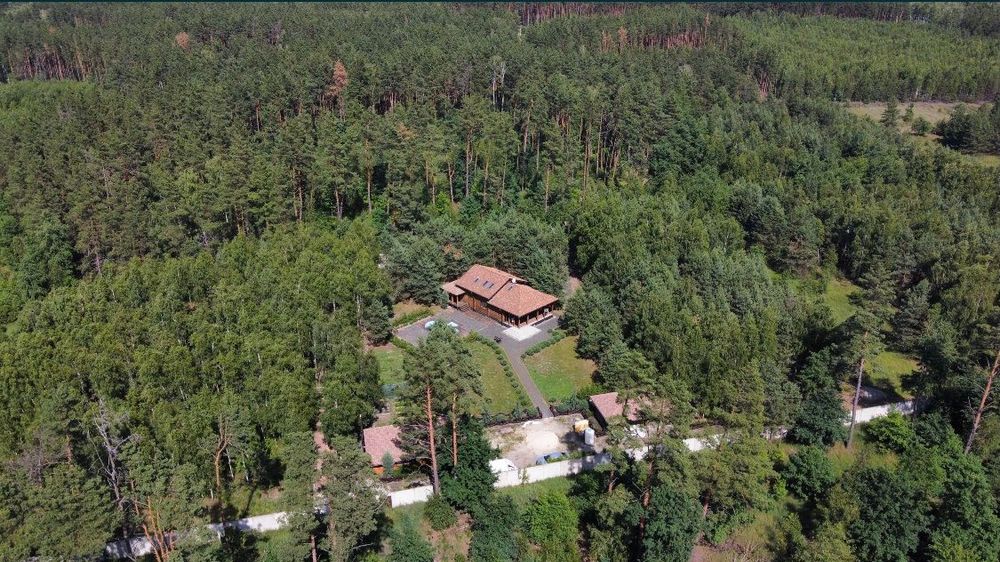 Продам дерев'яний будинок у сосновому лісі
