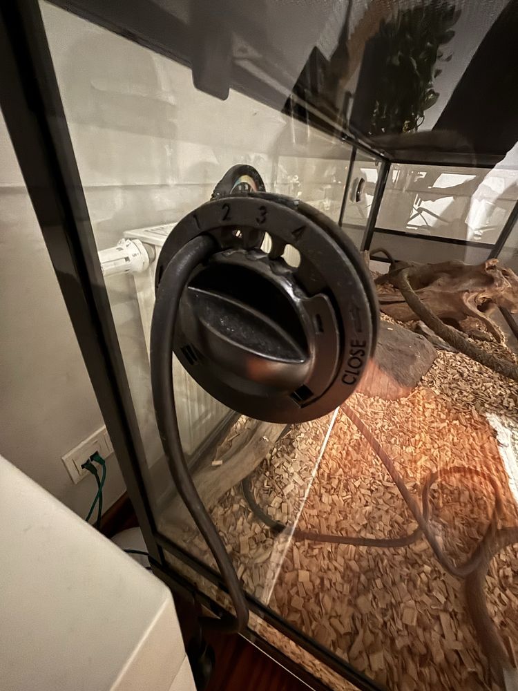 Terarium do gadów i tym podone