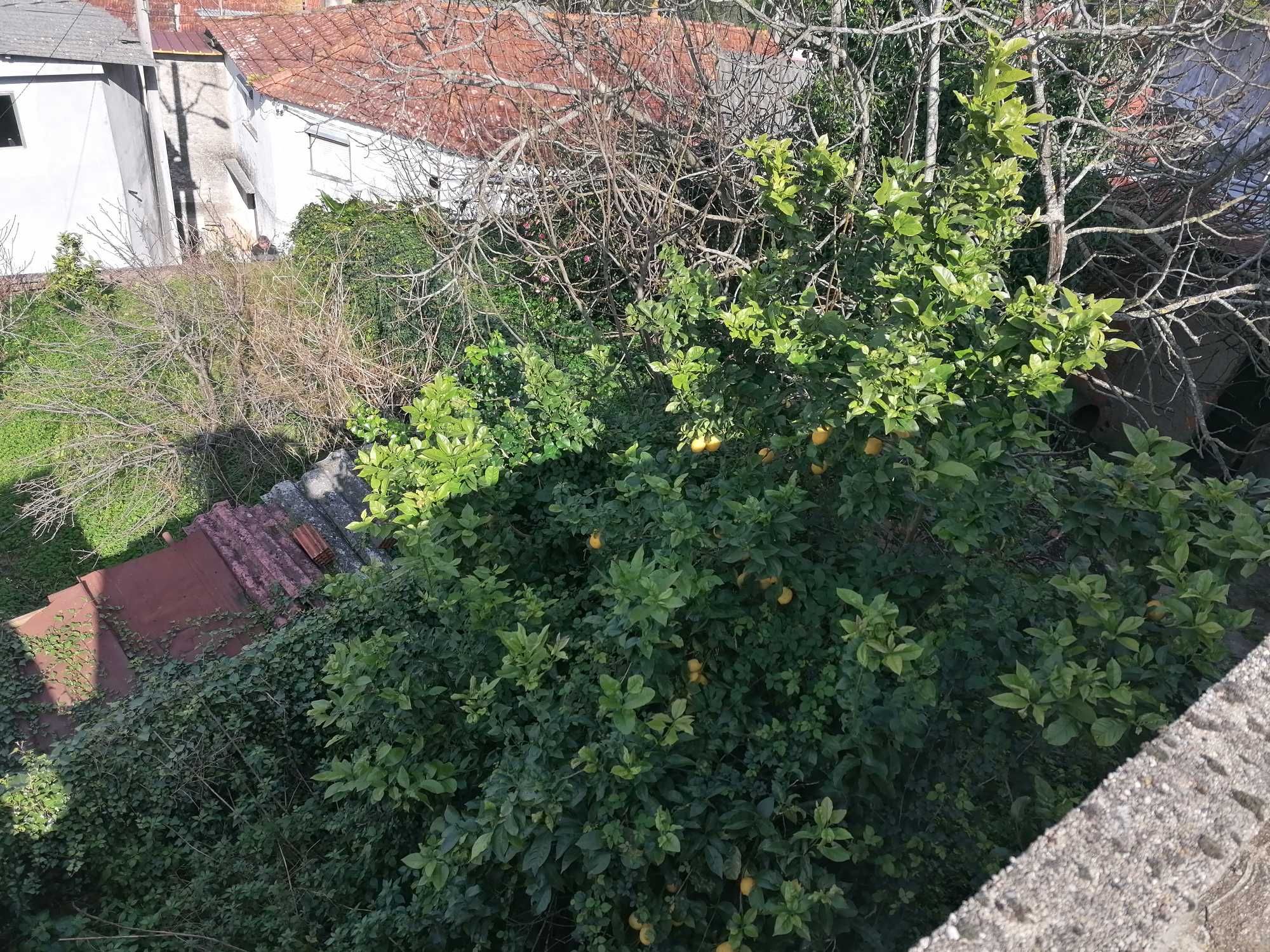 Moradia T3 | Coimbra