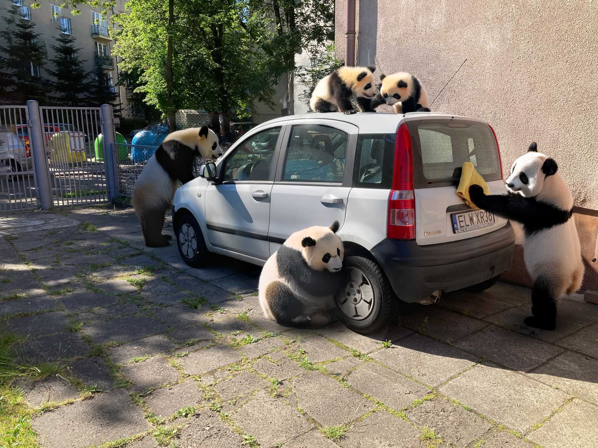 Fiat Panda 1.1, 2004r.