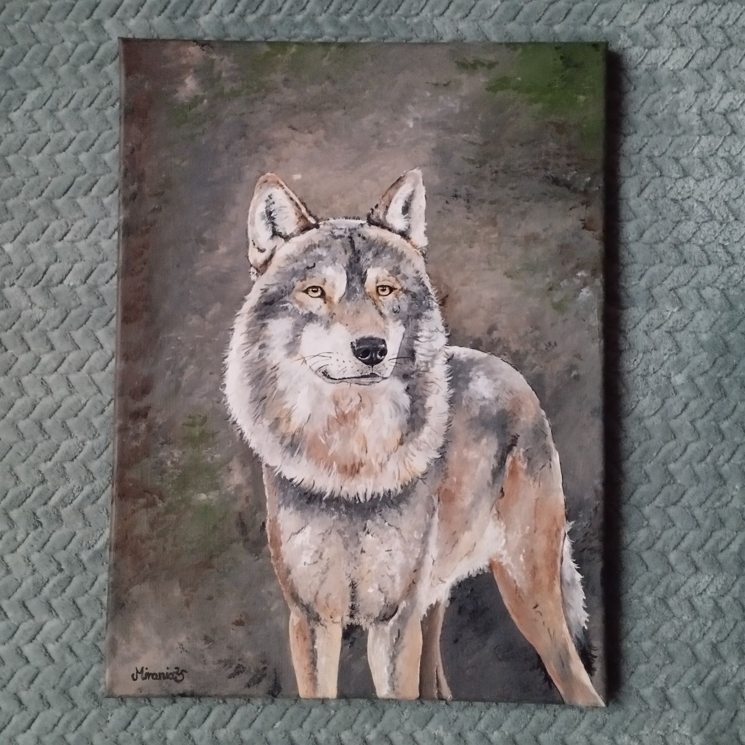 Wilk - obraz 40*30cm
