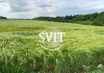 Продам земельну ділянку