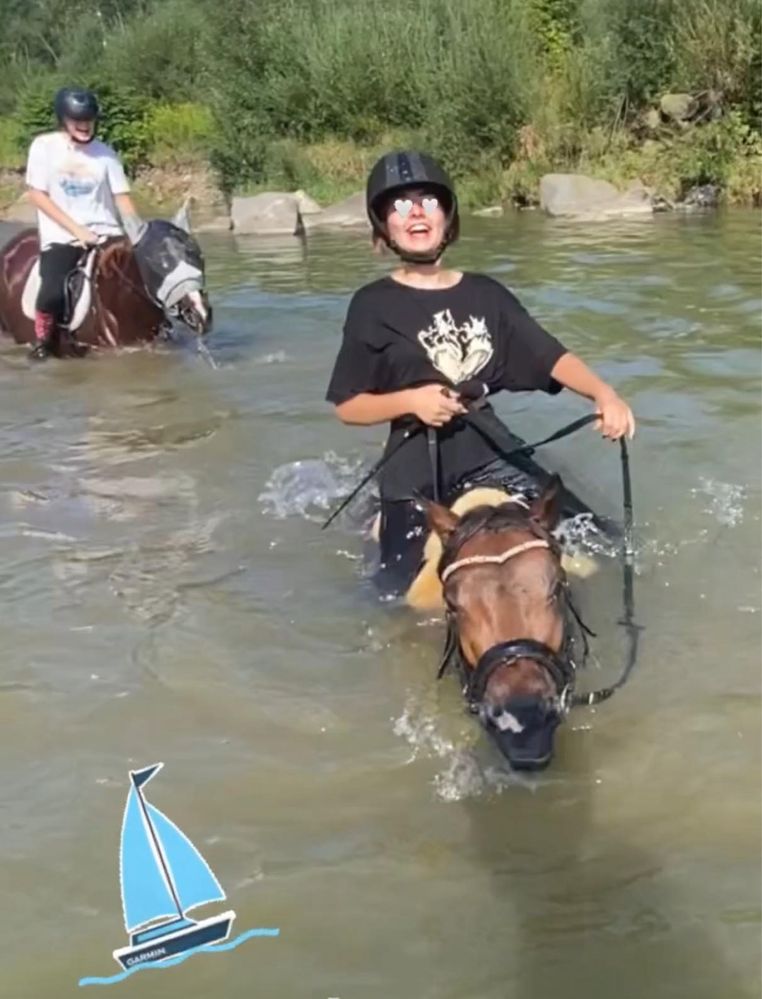 Klacz w typie walijskim ze zrebakiem ogierkiem