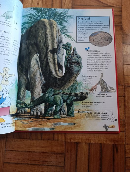Livro os dinossauros da Disney
