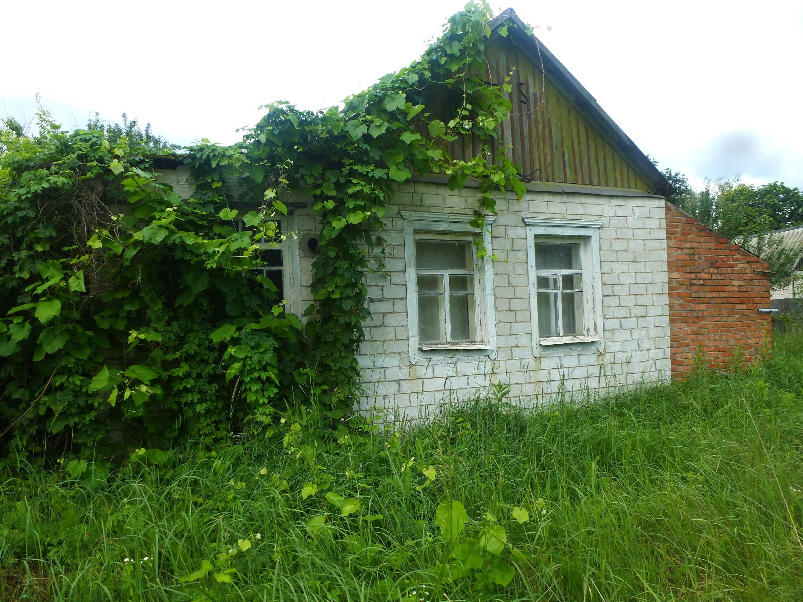 Cрочная продажа в с. Левковка