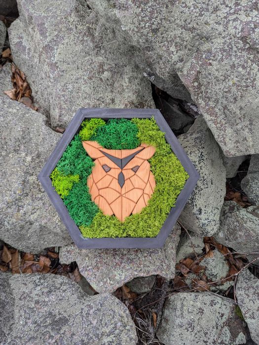 Соти декор в інтер'єр на стіну картина з моху Панно з дерева Мозаїка