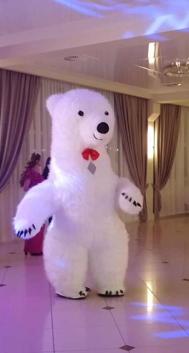 Wynajem dmuchańce basen wodny zjeżdżalnie Piana party Miś 2,6m domek