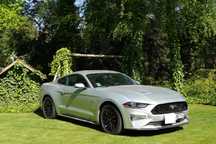 Ford Mustang Na sprzedaż: Ford Mustang GT 5.0 V8 • 2019