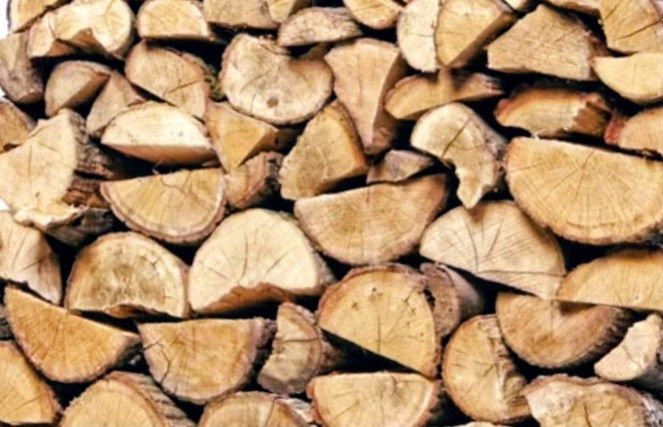 Drewno opałowe / transport drewna