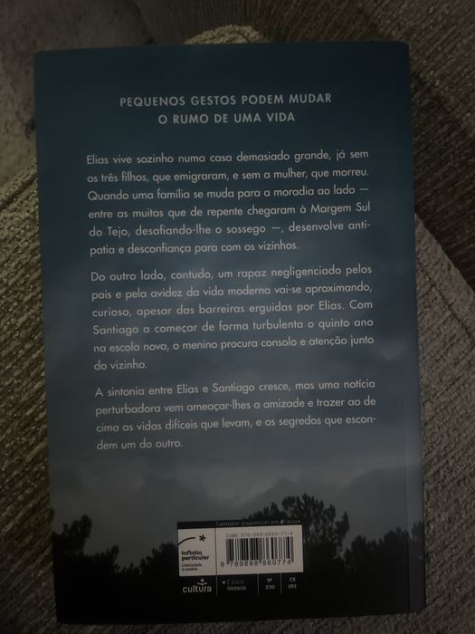 Um Muro e Uma Cerca de Elisabete Martins de Oliveira