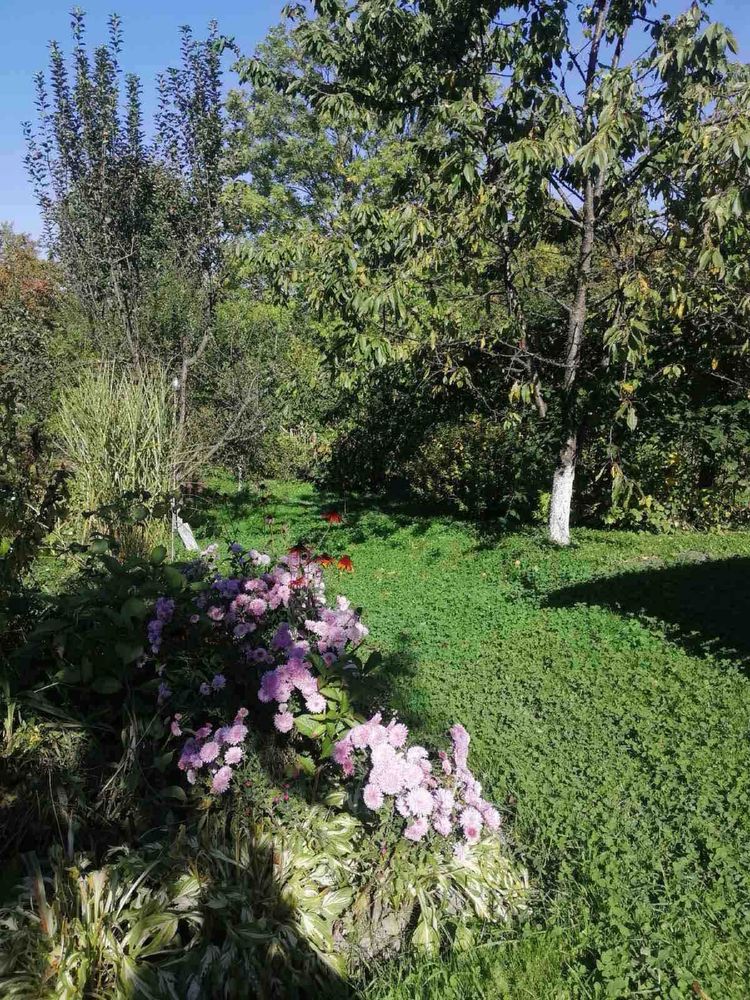 Оренда Котедж Трускавець