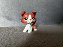 LPS collie #1542