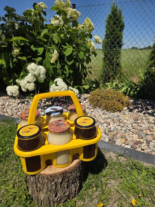 Sprzedam Naturalny Miód z Rodzinnej Pasieki!