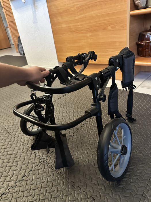 Wózek inwalidzki dla psa