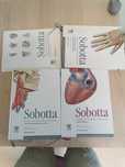 Atlas anatomiczy Sobotta 3 tomy mianownictwo angielskie