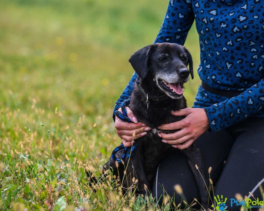 Miły i wesoły staruszek BODZIO szuka kochającego domu