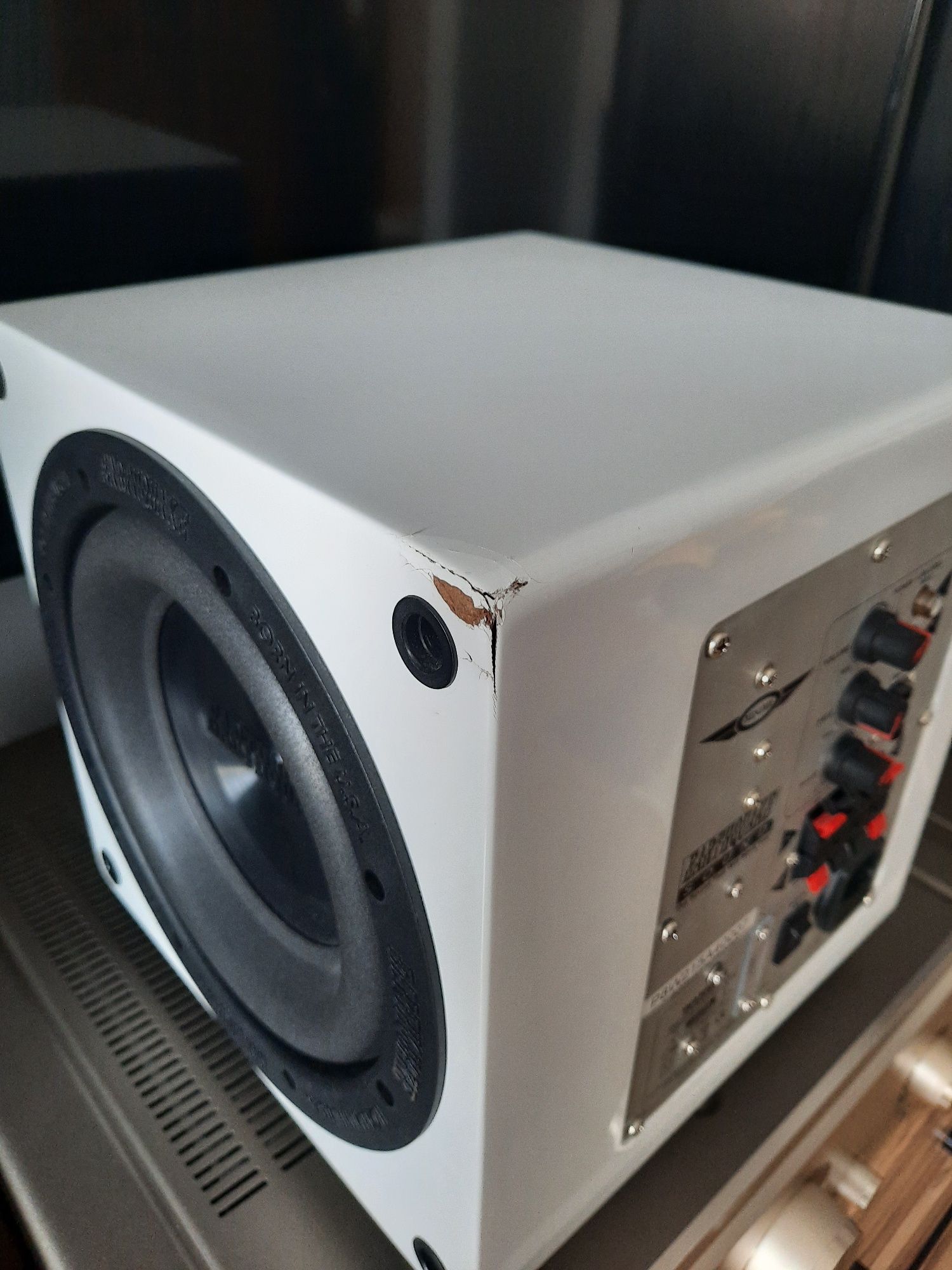Subwoofer Earthquake MiniMe (Rel,Velodyne,SVS)