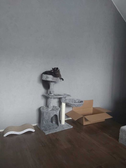 NOWY Drapak Dla Kota Legowisko Domek Budka Solidny Duży XXL Wysoki