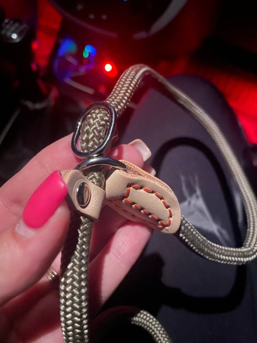 Амуниция для собаки, носил стафф